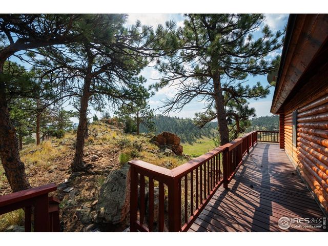 23 E Quandary Ct, Livermore, CO 80536