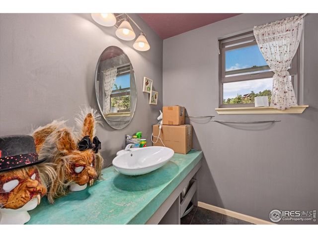 23 E Quandary Ct, Livermore, CO 80536