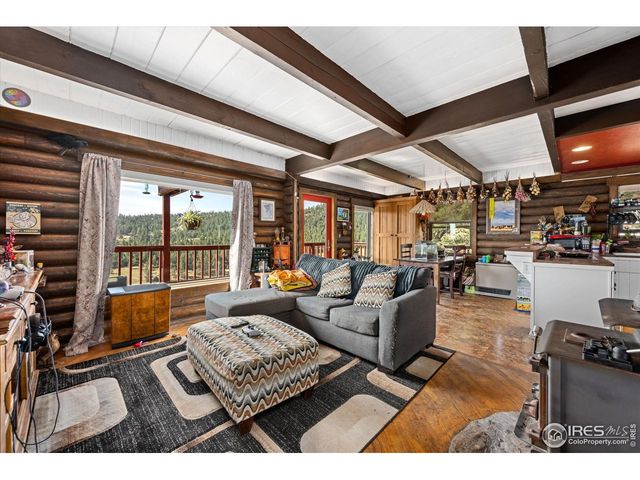 23 E Quandary Ct, Livermore, CO 80536