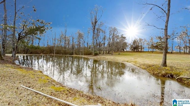 417 COUNTY ROAD 537, Hanceville, AL 35077