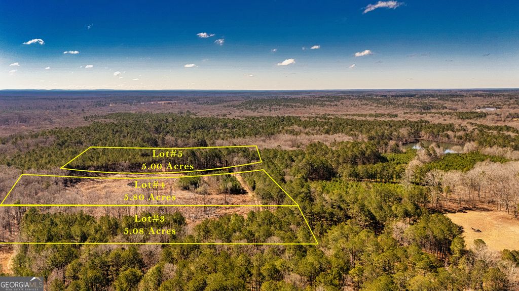0 Padgett Road LOT 4, Senoia, GA 30276