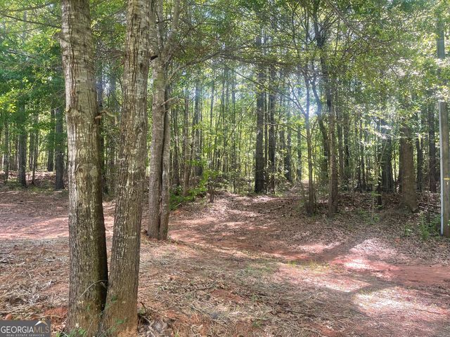 0 Fincher Road, Covington, GA 30016