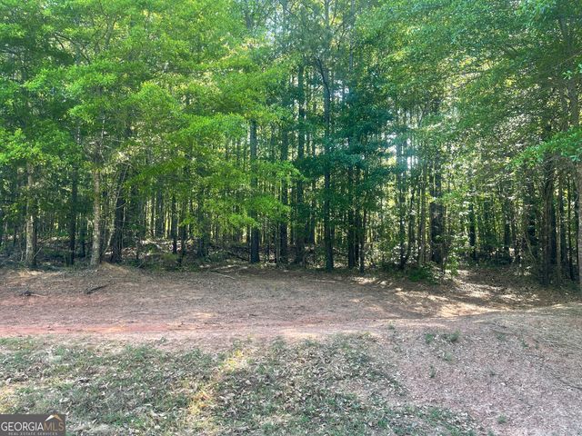 0 Fincher Road, Covington, GA 30016