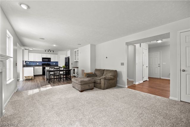 6199 E Meadow Farm Lane, Lorain, OH 44053