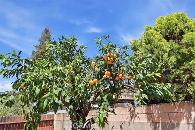 2608 Balfour, Fullerton, CA 92831