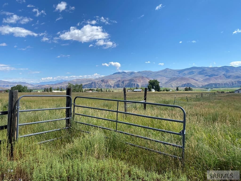 Image 53 of property listing at 2651 Challis Creek Road, Challis, ID 83226