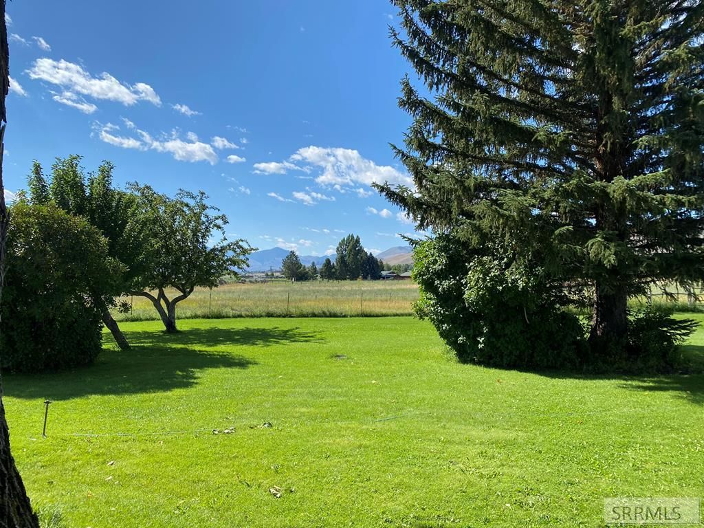 Image 7 of property listing at 2651 Challis Creek Road, Challis, ID 83226