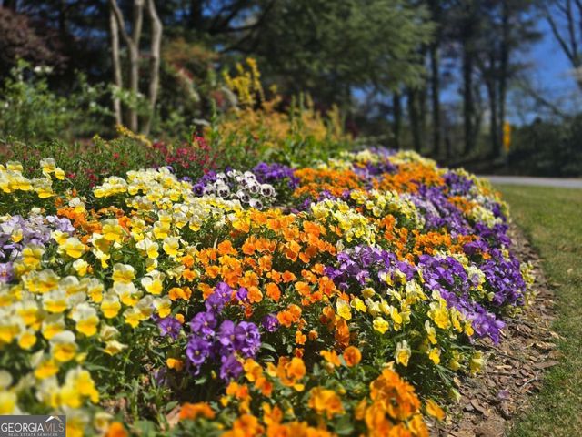 1750 Clairmont Road 4, Decatur, GA 30033