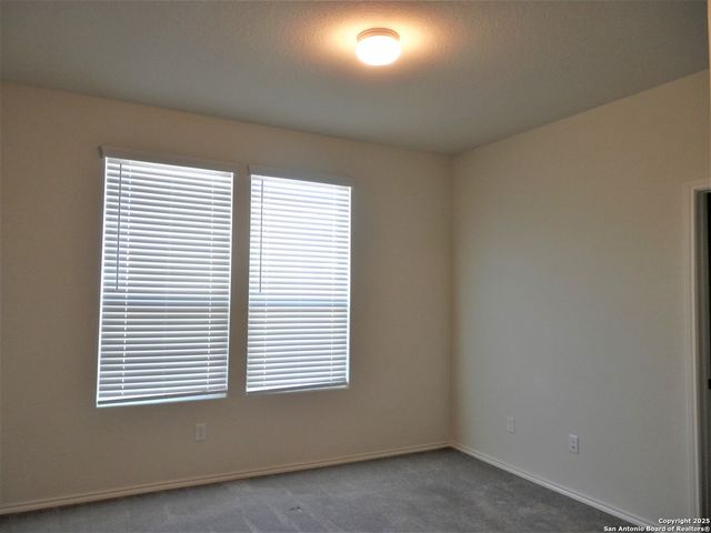 334 MISTFLOWER, New Braunfels, TX 78130