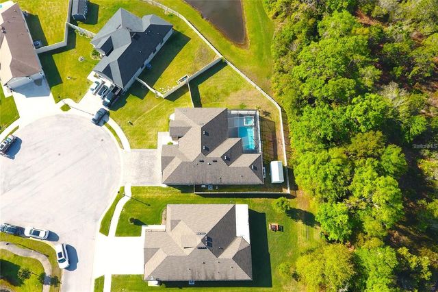 19730 PRESERVATION WOODS DRIVE, Lutz, FL 33558