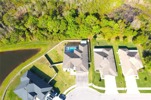 19730 PRESERVATION WOODS DRIVE, Lutz, FL 33558