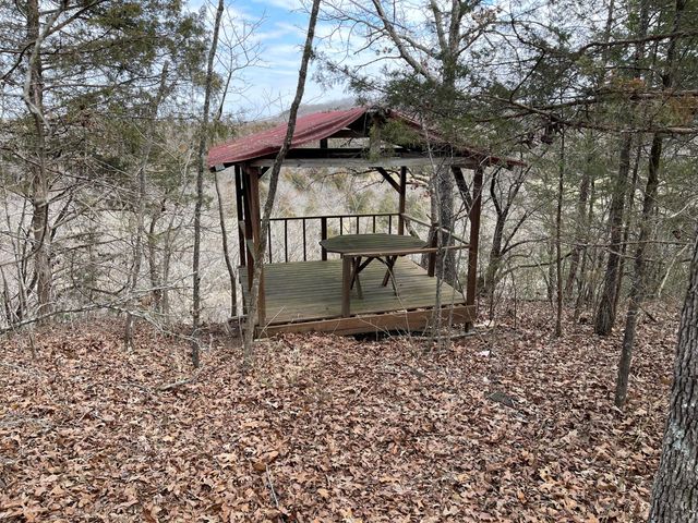 1725 Cook Road, Taneyville, MO 65759