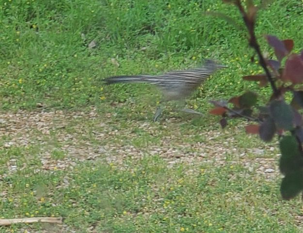 1725 Cook Road, Taneyville, MO 65759