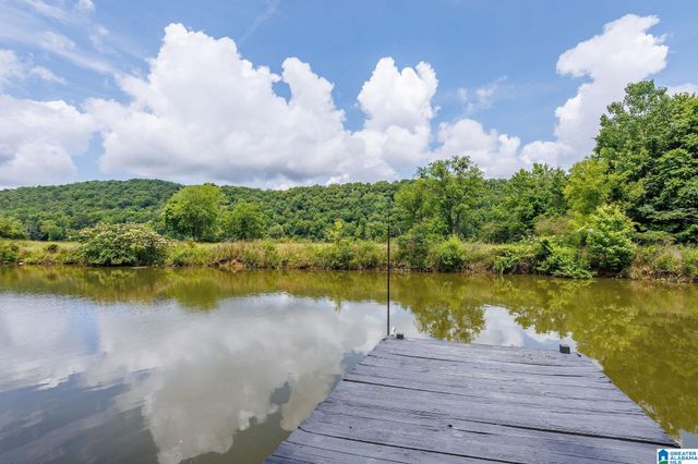 509 SHERWOOD DRIVE, Lincoln, AL 35096