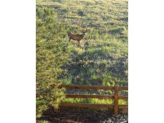 6499 Kenzie Cir, Castle Pines, CO 80108