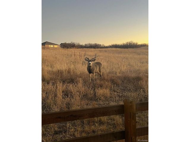 6499 Kenzie Cir, Castle Pines, CO 80108