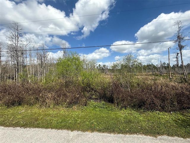 GREEN WILLOW RUN LOT 745, Wesley Chapel, FL 33544