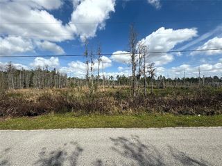 GREEN WILLOW RUN LOT 745, Wesley Chapel, FL 33544