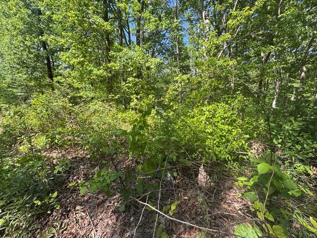 2.42 AC Poplar Drive N, Jasper, GA 30143