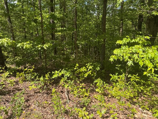 2.42 AC Poplar Drive N, Jasper, GA 30143