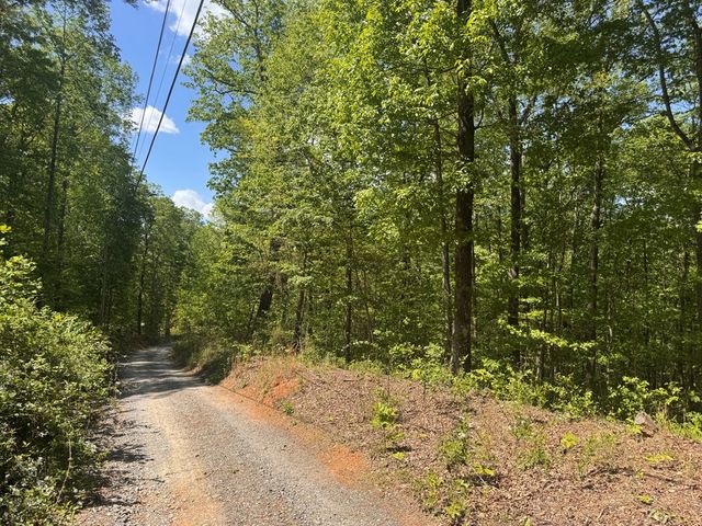 2.42 AC Poplar Drive N, Jasper, GA 30143