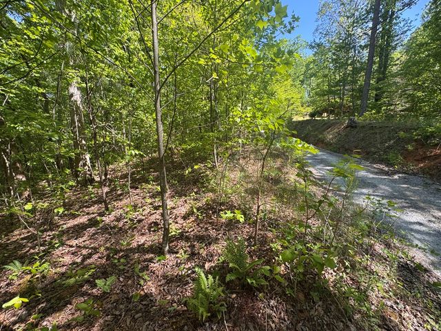 2.42 AC Poplar Drive N, Jasper, GA 30143