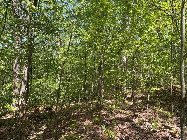 2.42 AC Poplar Drive N, Jasper, GA 30143