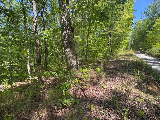 2.42 AC Poplar Drive N, Jasper, GA 30143