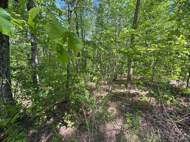 2.42 AC Poplar Drive N, Jasper, GA 30143