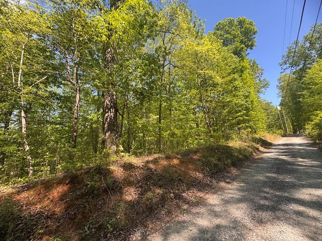 2.42 AC Poplar Drive N, Jasper, GA 30143
