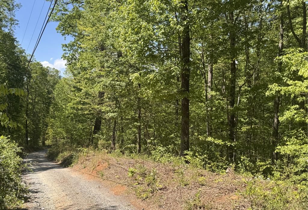 2.42 AC Poplar Drive N, Jasper, GA 30143