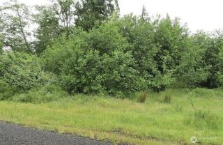 0 Lomax Street, Aberdeen, WA 98520