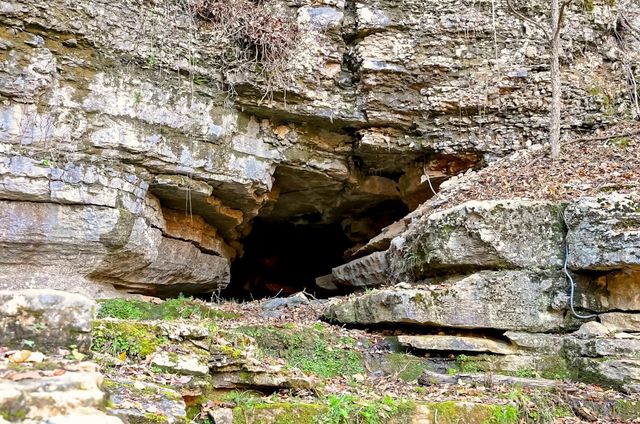 3378 Warner Road, Crane, MO 65633