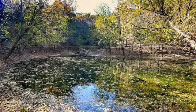 3378 Warner Road, Crane, MO 65633