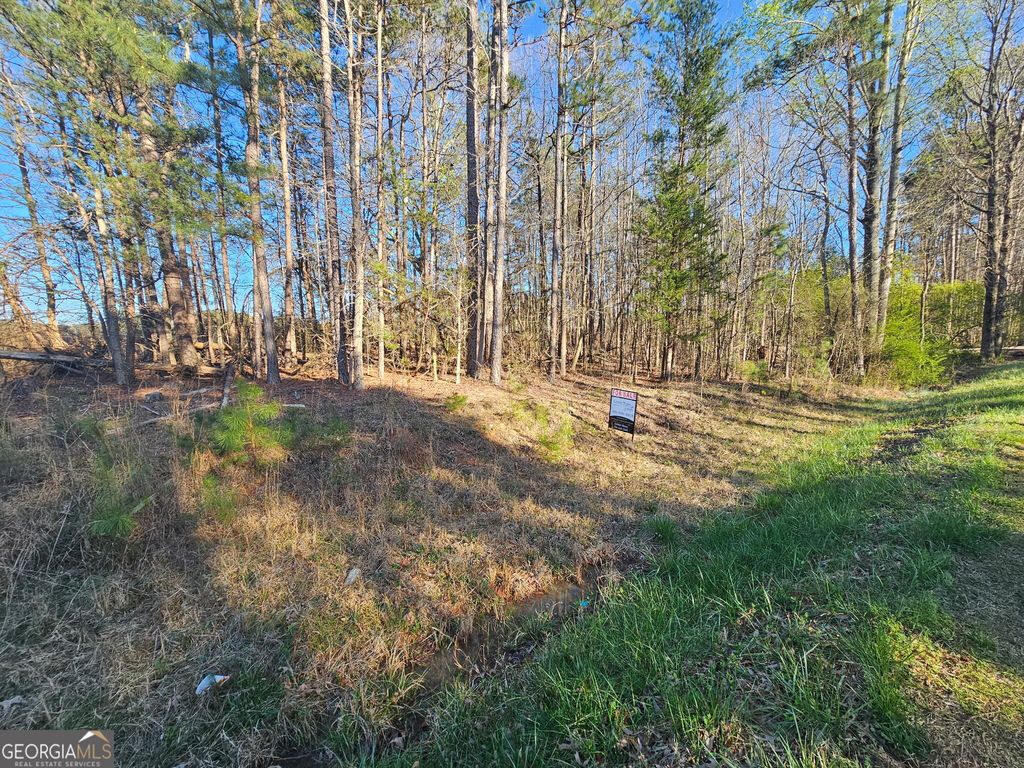 0 Lake Point Road, Hartwell, GA 30643