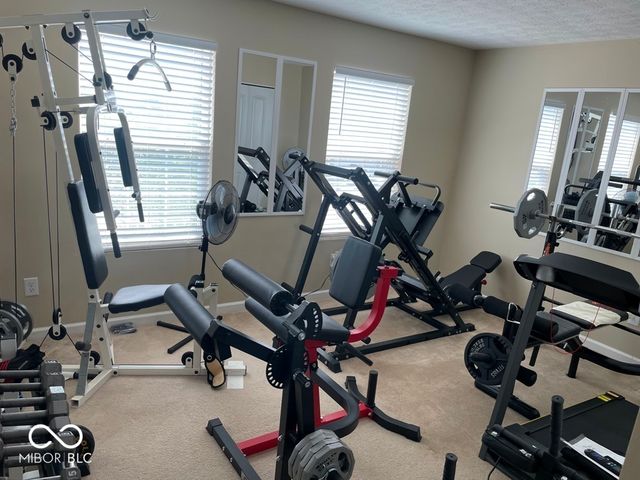 11652 High Grass Drive, Indianapolis, IN 46235