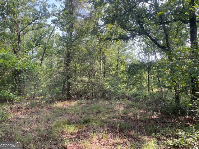 221 Flamingo Drive, Mauk, GA 31058