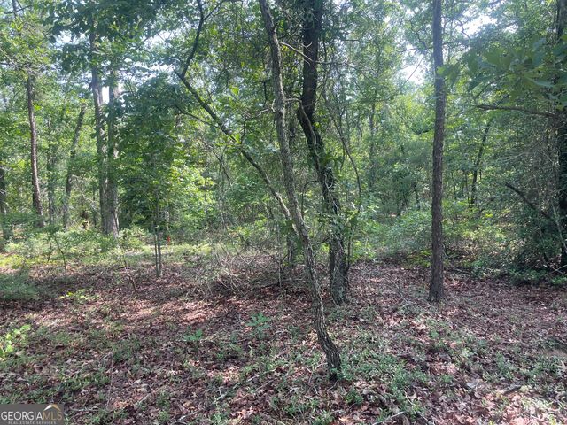 221 Flamingo Drive, Mauk, GA 31058