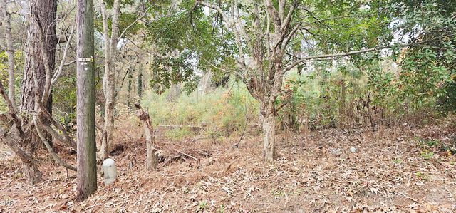 6026 Colonial Drive, Raleigh, NC 27603