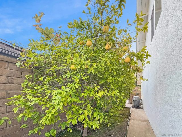 25521 Alisal Ave, Laguna Hills, CA 92653