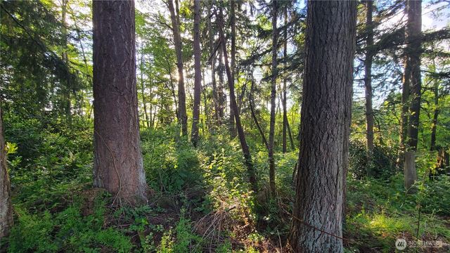 9717 254th Street E, Graham, WA 98338