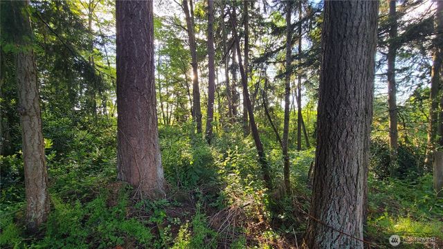 9717 254th Street E, Graham, WA 98338