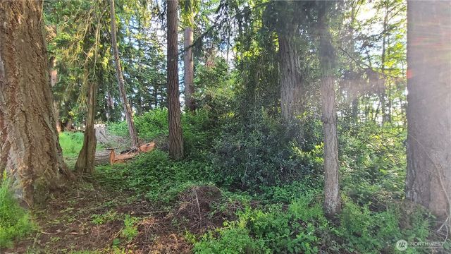 9717 254th Street E, Graham, WA 98338