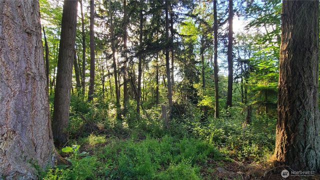 9717 254th Street E, Graham, WA 98338