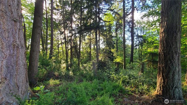 9717 254th Street E, Graham, WA 98338