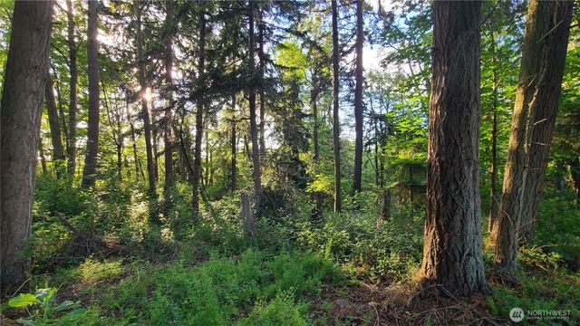 9717 254th Street E, Graham, WA 98338