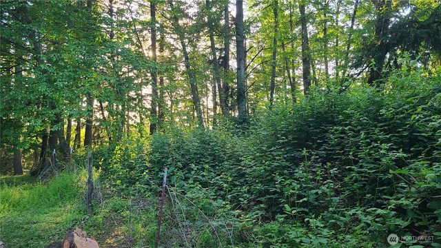 9717 254th Street E, Graham, WA 98338