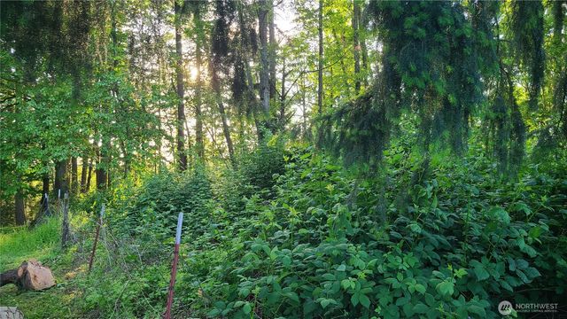 9717 254th Street E, Graham, WA 98338