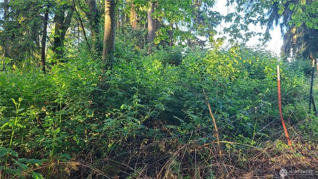 9717 254th Street E, Graham, WA 98338