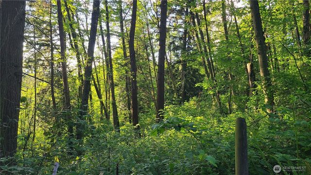 9717 254th Street E, Graham, WA 98338